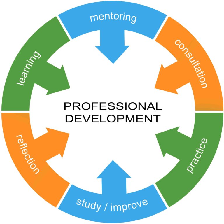 Professional Development word circle with concepts and terms