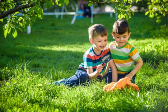 Two young boys sitting in the grass examining something with a magnifying glass.