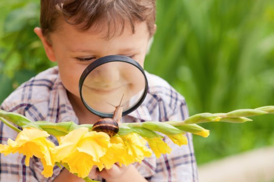 Young boy outside looking at a snail with a magnifying glass.