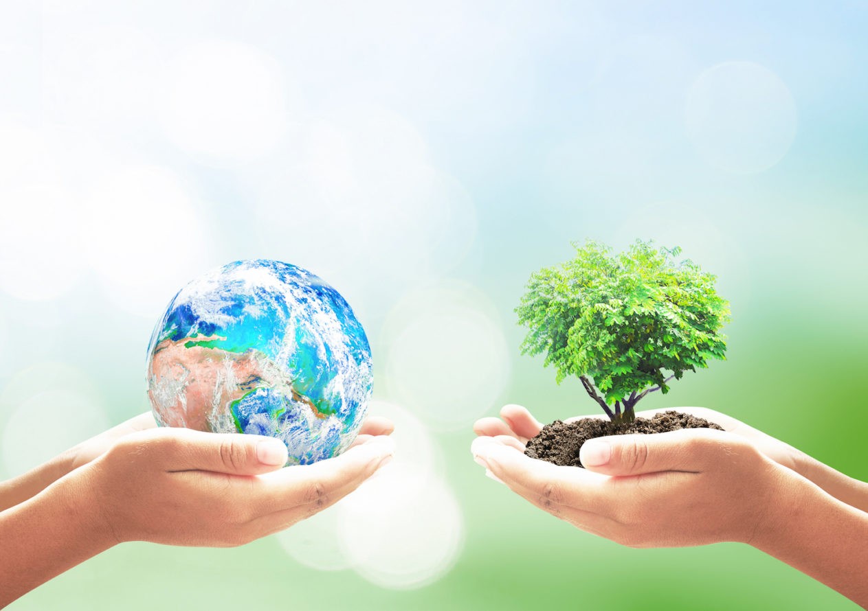 Two hands holding the earth and a plant in dirt